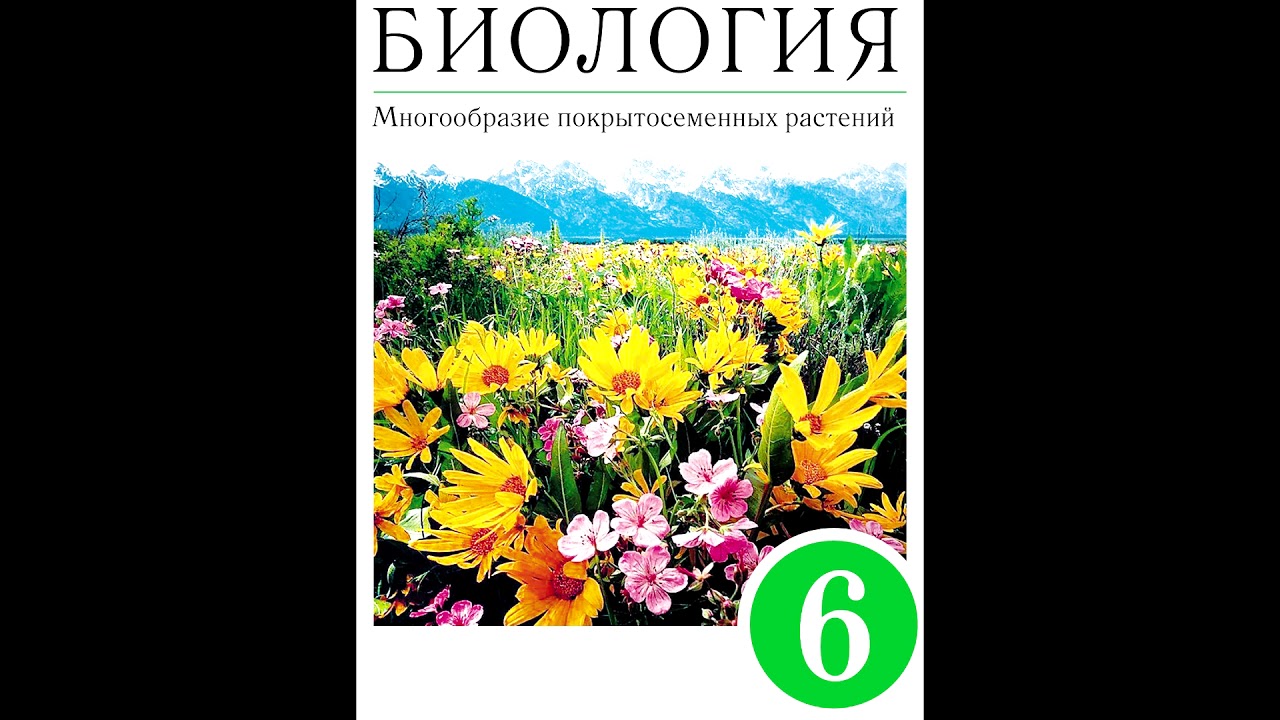 Биология. 6 класс. Сивоглазов В.И. (5127248) - Купить по цене от 1 045.00 руб. И