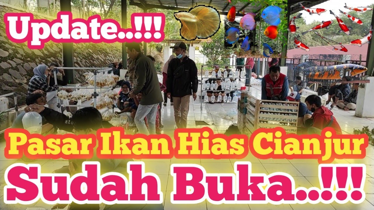 Pasar Ikan Hias Cianjur Sudah Buka