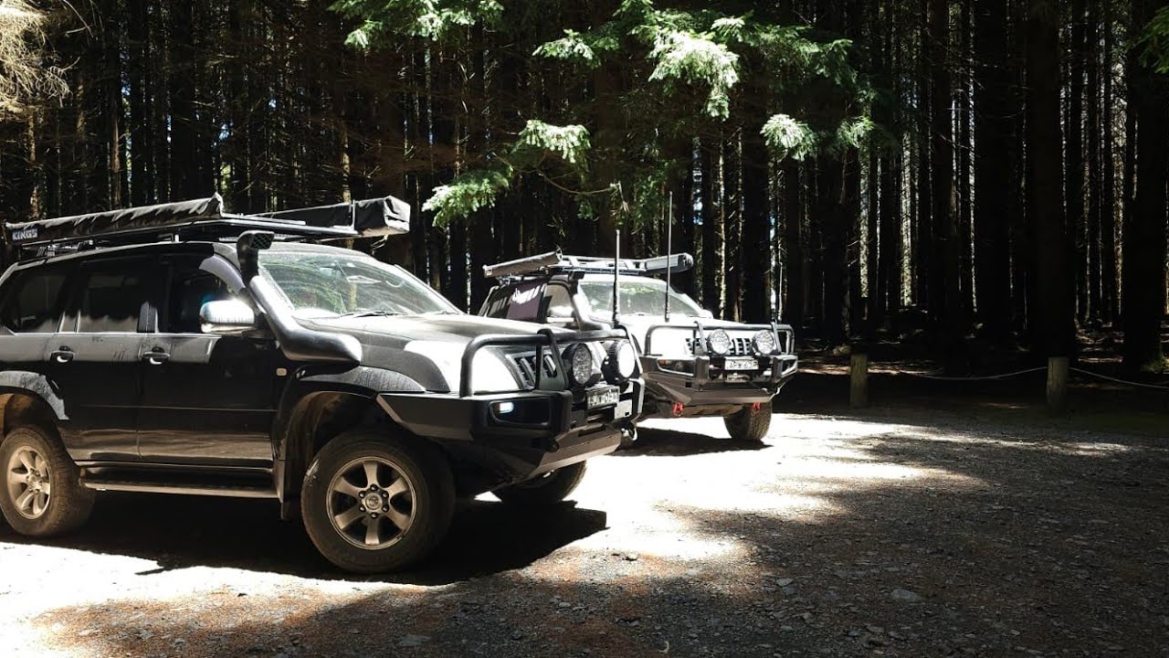 BARRINGTON TOPS| NSW HIGH COUNTRY