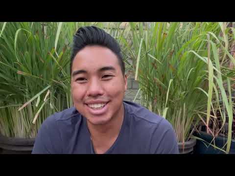 Brand Story | Affirmation Matchdeck
