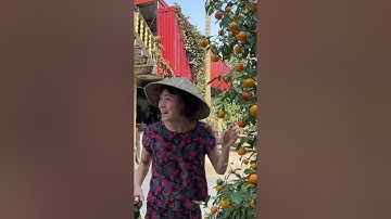 Sự khác biệt giữa mẹ người ta và mẹ tôi khi biết con bị viết bản kiểm điểm #Shorts