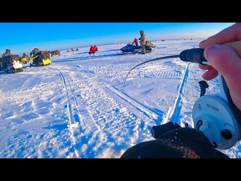 СУДАК В КАЖДОЙ ЛУНКЕ! А ПОД ВЕЧЕР БЫЛ ХАПОК! Ловля судака на Оби, водохранилище. Рыбалка 2024