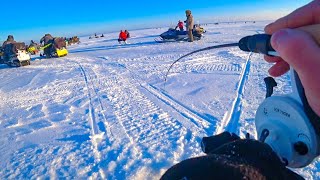 Судак В Каждой Лунке! А Под Вечер Был Хапок! Ловля Судака На Оби, Водохранилище. Рыбалка 2024