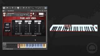 Pure Jazz Vibes   Overview