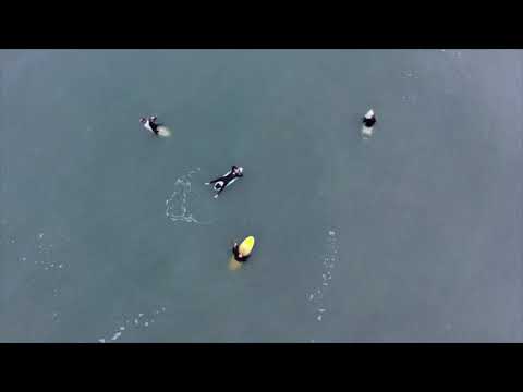 Kill Devil Hills - A Surf Movie (Directors Cut)
