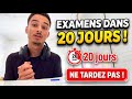 20 يوما يفصلنا على الإمتحان الوطني و الإمتحان الجهوي نصائح مهمة للباكالوريا 