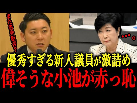 【さとうさおり】※都議会に旋風を巻き起こした!小池に逆らうとこうなるのか…【佐藤沙織里 消費税 東京都議会本会議】