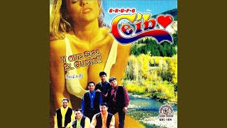 Video thumbnail of "Grupo Ceibo - El Enamorador"