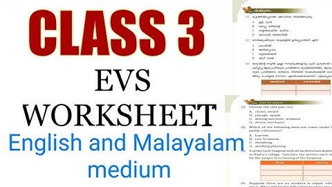 Class 3 Evs worksheet |3 std evs|victers std 3 evs| നന്മ വിളയിക്കും കൈകൾ|hands that reap virtue
