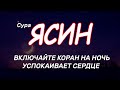 🎧 Слушаем суру ЙА СИН Перед сном. Праведные сны, Тихий СОН. Бодрое начало дня