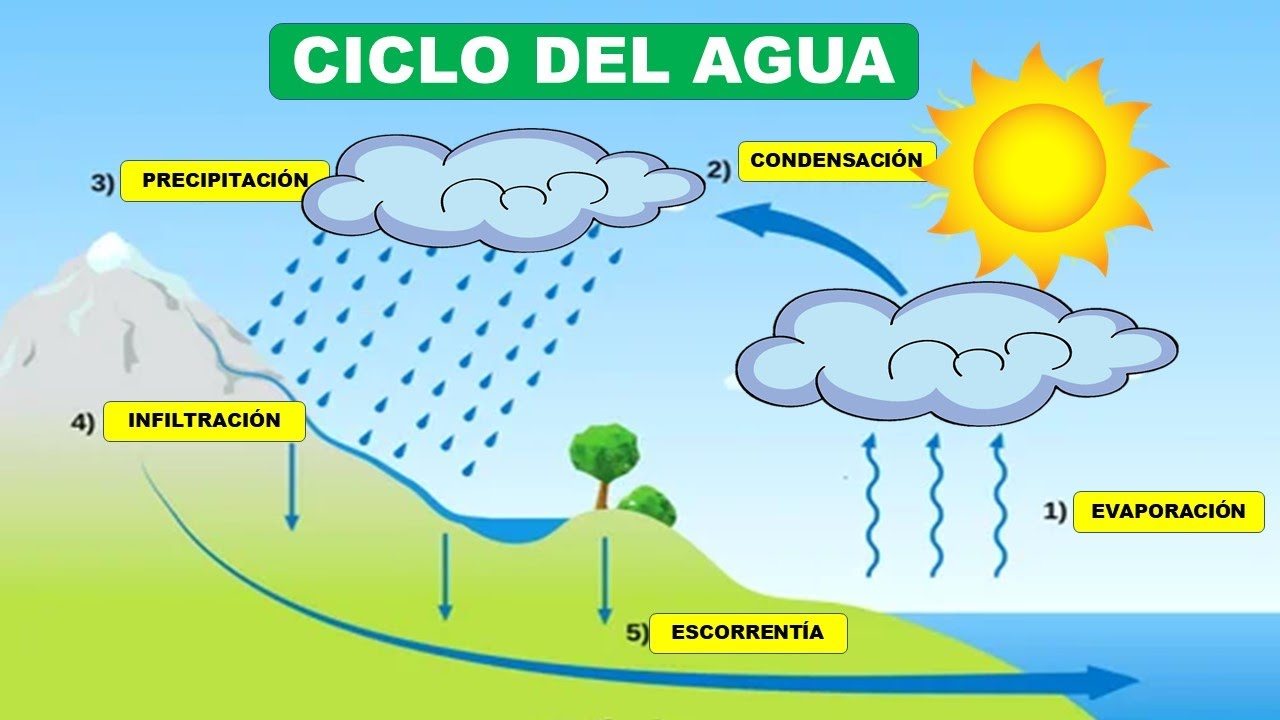 Diferencia entre evaporación y destilación