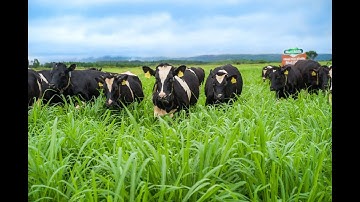 Sản xuất xanh: Giải pháp phát triển bền vững