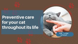 Everything You Need To Know About Cat Preventive Care From Cloverleaf Animal Hospital by Cloverleaf Animal Hospital 6 views 2 years ago 11 minutes, 33 seconds