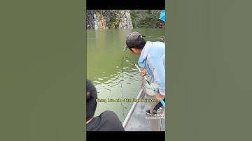 tét cần  bằng chú cá trăm đen 32kg #cauca #câucá #fishing #fish #2024