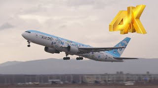 4K]きつねポケモンロコンジェットをホームで捕まえる! AIRDO北海道 新