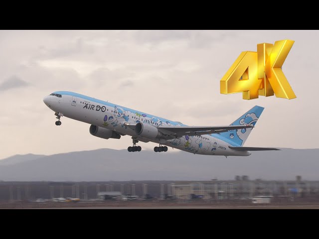 4K]きつねポケモンロコンジェットをホームで捕まえる! AIRDO北海道 新