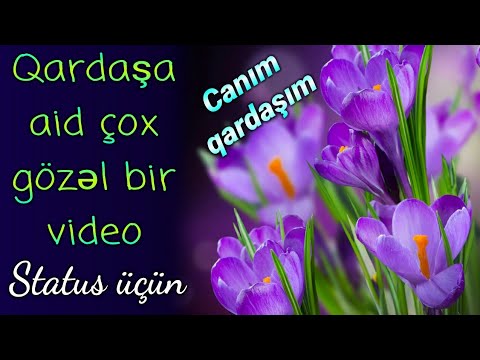 Video: Qardaş üçün Orijinal DIY Hədiyyə Fikirləri