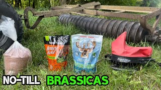 NoTill Brassica Food Plots into Buckwheat Wintergreens and Honey Hole