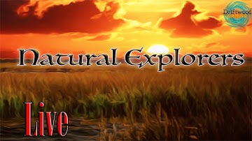 Livestream - LMAG 2018 - Adding Monsters - Natural Explorers - RPG Maker MV