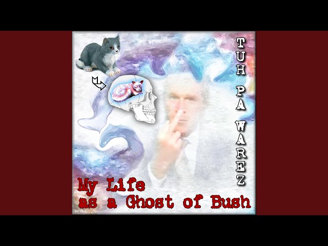 Dadspoke Warmix