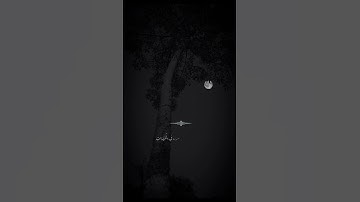 وَزَكَرِيّا إِذْ نَادَىَ رَبّهُ - سورة الأنبياء - تلاوة خاشعة للقارئ بلال دربالي