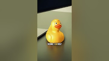 #programmer #computerprogrammer #softwaredeveloper #coding #rubberduckdebugging #tech #methods #duck