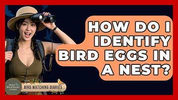 How Do I Identify Bird Eggs In A Nest? - Bird Watching Diaries