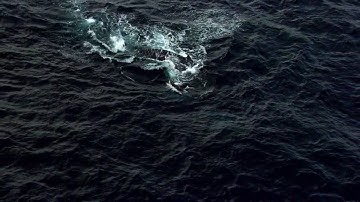 TRUiN - Whisperin Sun (Video Mix) | Relaxation
