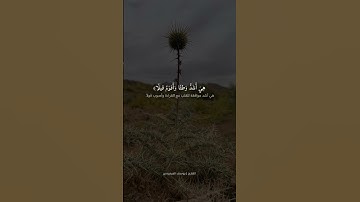 سورة المزمل يوسف العيدروس