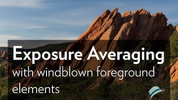 Exposure Averaging with windblown foreground elements