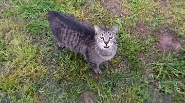 A wet pussy!