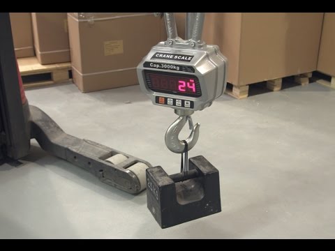 Digital Crane Scales