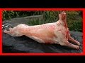 Spit Roasted Lamb! Fried Turkey!! Thanksgiving 2016!! Deer Meat For Dinner