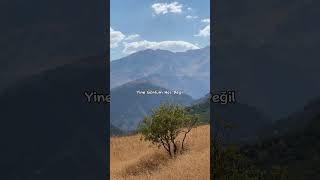 Yine gönlüm hoş değil… #hakkari #müzik #keşfet #shorts #özlemözdil #naturelovers Resimi