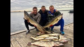 В поисках ГИГАНТОВ. Подводная охота на сомов. Осенний САРАТОВ.