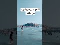 البحر لا يرحم يلتهم من يشاء 
