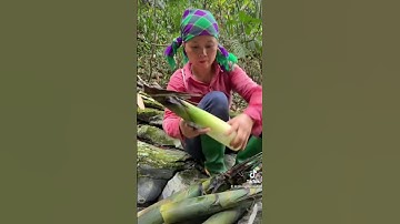 ĐI HÁI MĂNG #phungthimui #rừngnúi #thaoduocviet #shots