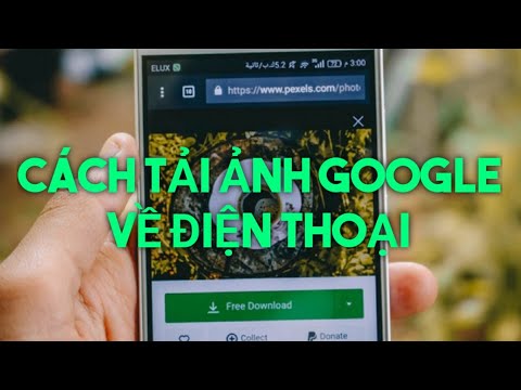 Cách tải và lưu ảnh từ google về điện thoại nhanh nhất