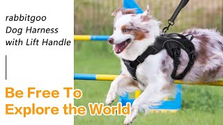 How to Use A Rabbitgoo Soft Padded Full Body Pet Harness screenshot 2