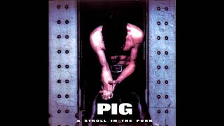 PIG - Watts