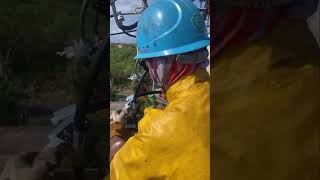 Power line Work without power Outage #diy #tools #electrical #power #line #powertools