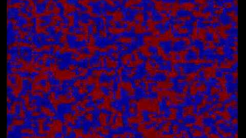 2D Spatial voter model simulation, N=100, p=0