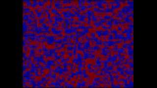 2D Spatial voter model simulation, N=100, p=0