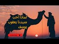 من اروع القصص  سر حب سيدنا يعقوب ل يوسف وأخيه     نجومي