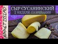 СЫР БЫСТРОГО СОЗРЕВАНИЯ (2 недели) СУСАНИНСКИЙ сыр: рецепт + секреты ☆ Сыр в домашних условиях