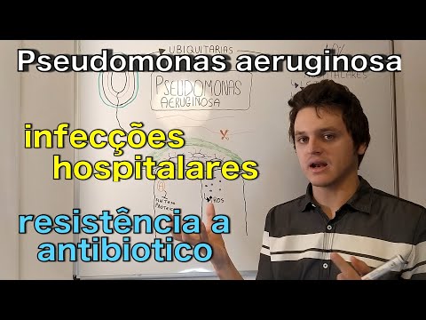 Vídeo: Infecção Bacteriana (Pseudomonas Aeruginosa) Em Chinchilas