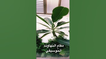 مقام النهاوند .. سورة البقرة اية رقم ٢٧ الى آية رقم ٢٩