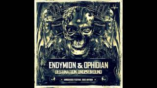 Endymion & Ophidian - Destination underground (Hardshock 2013 anthem)