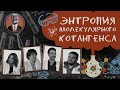 Энтропия молекулярного котангенса. Семинар №10