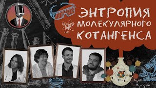 Энтропия молекулярного котангенса. Семинар №10